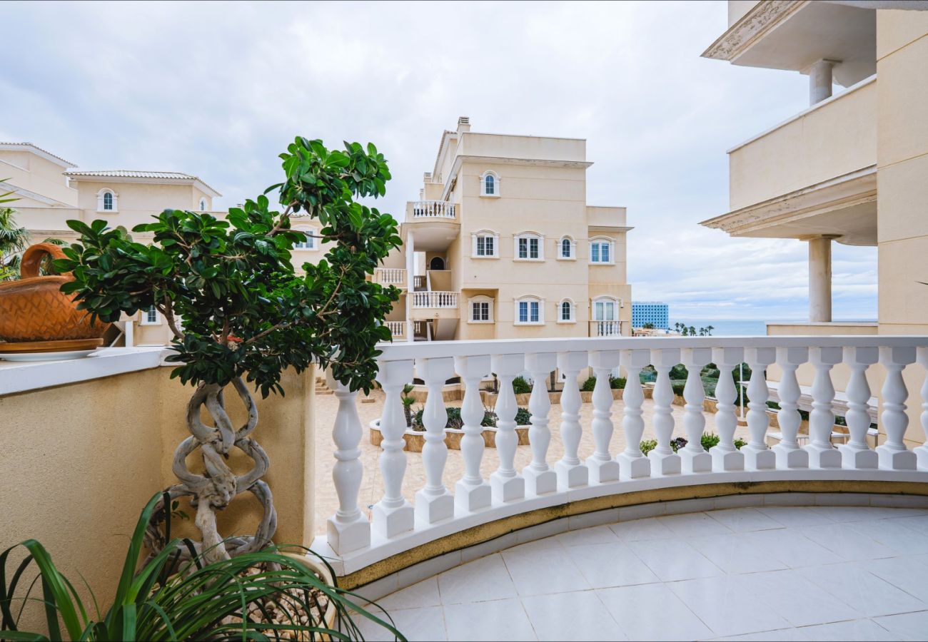 Apartment in Guardamar - ID111