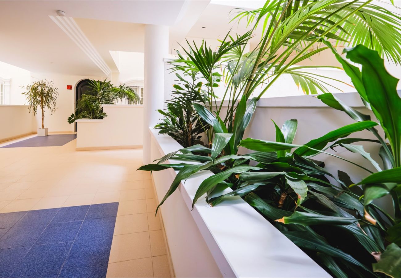 Apartment in Guardamar - ID111