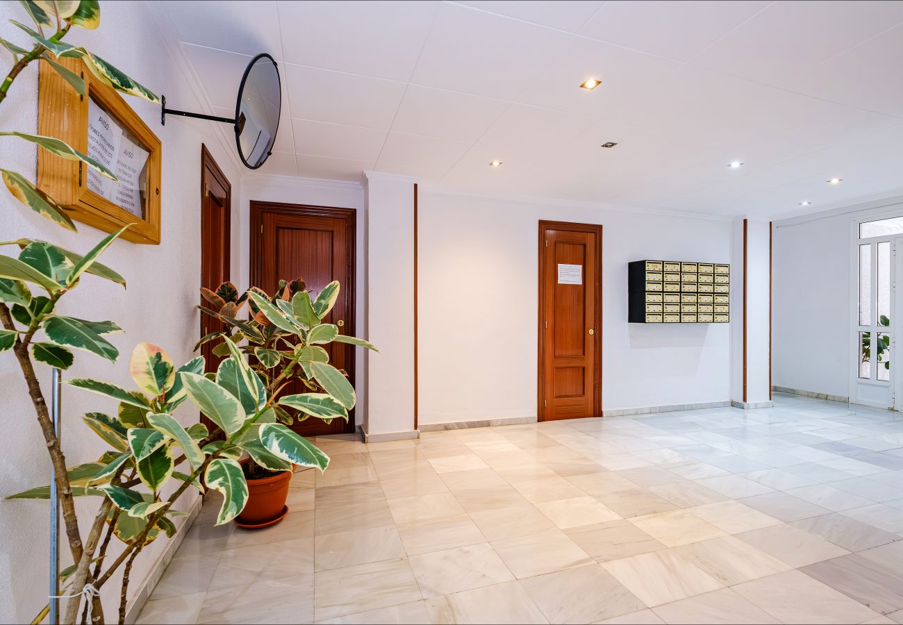 Apartment in Torrevieja - ID23