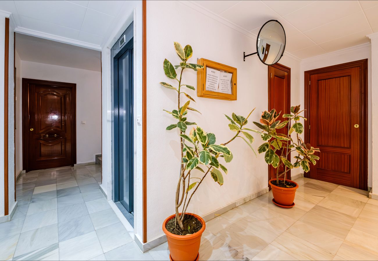 Apartment in Torrevieja - ID23