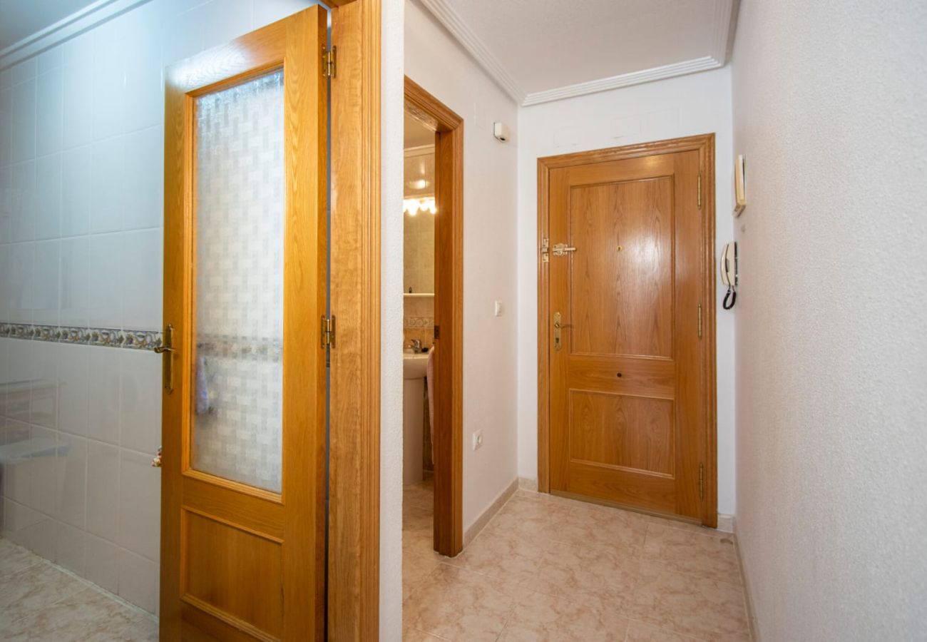 Apartment in Torrevieja - ID201