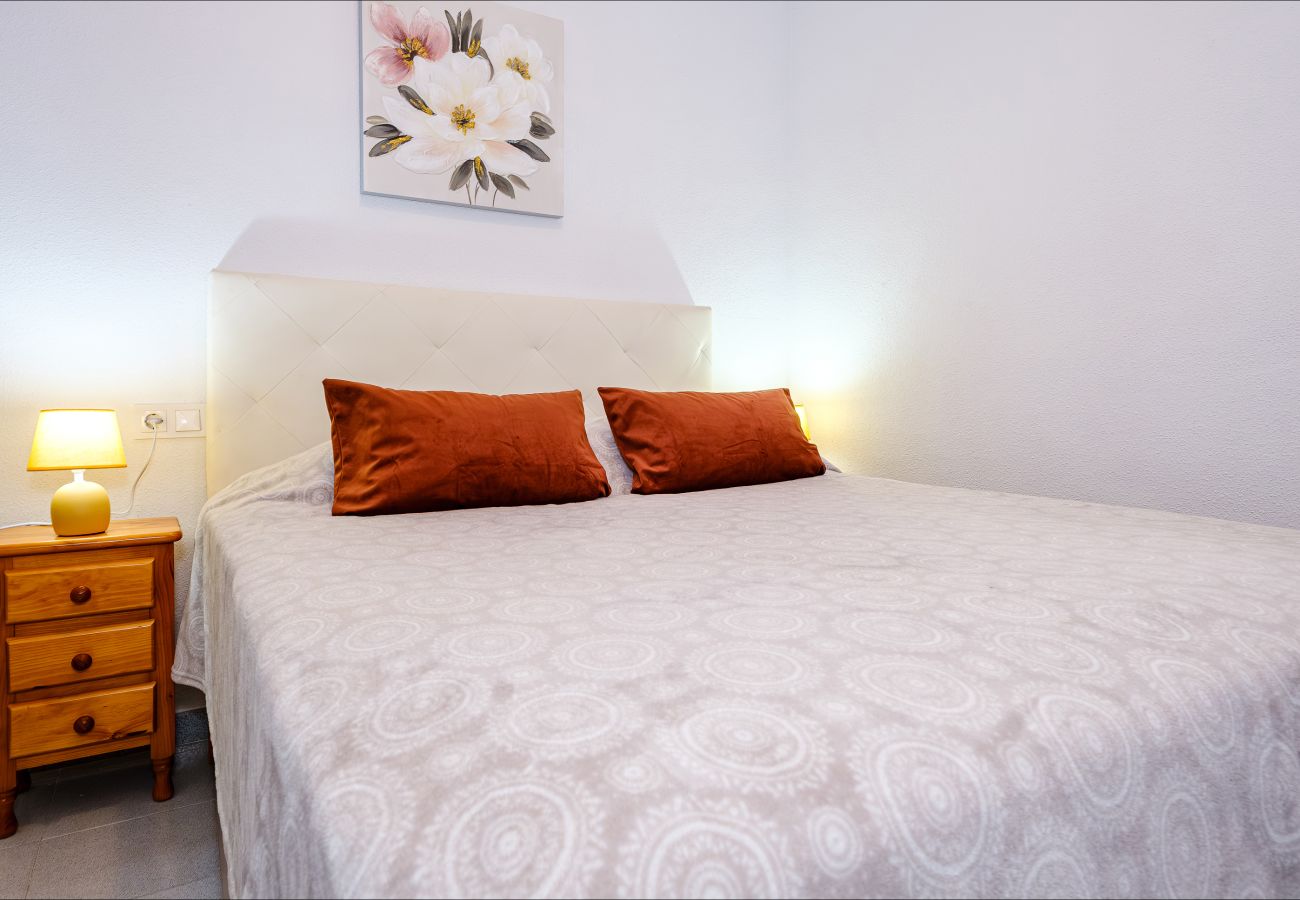 Apartment in Torrevieja - ID61