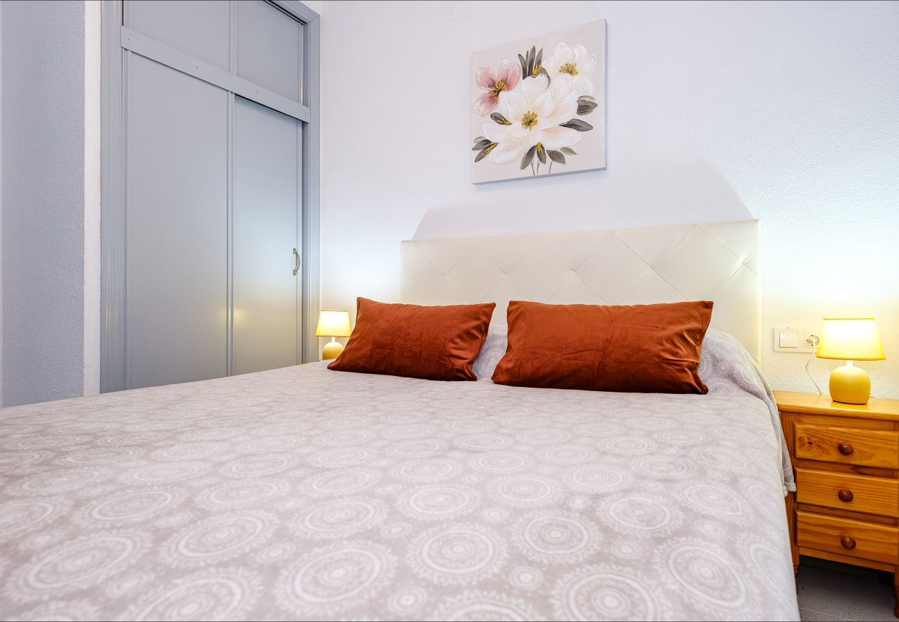 Apartment in Torrevieja - ID61