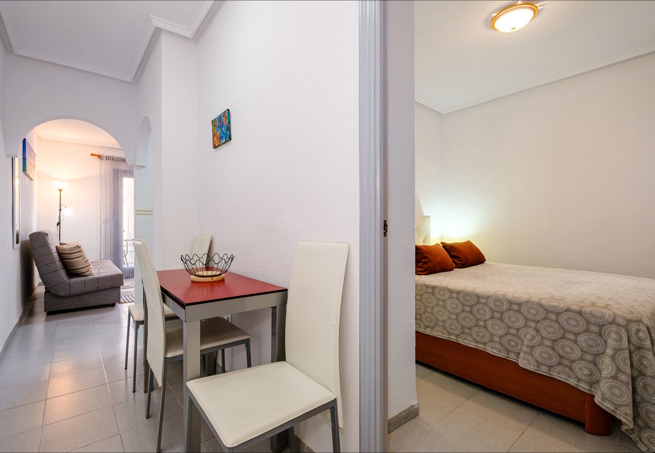 Apartment in Torrevieja - ID61