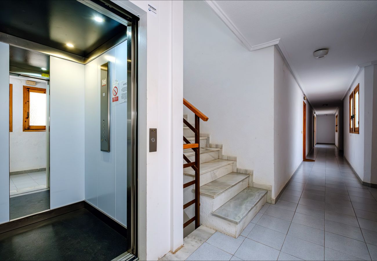 Apartment in Torrevieja - ID61