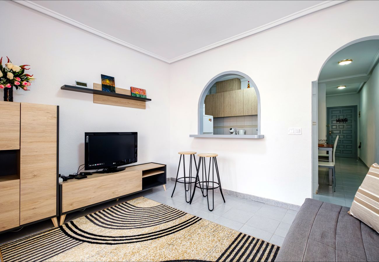 Apartment in Torrevieja - ID61