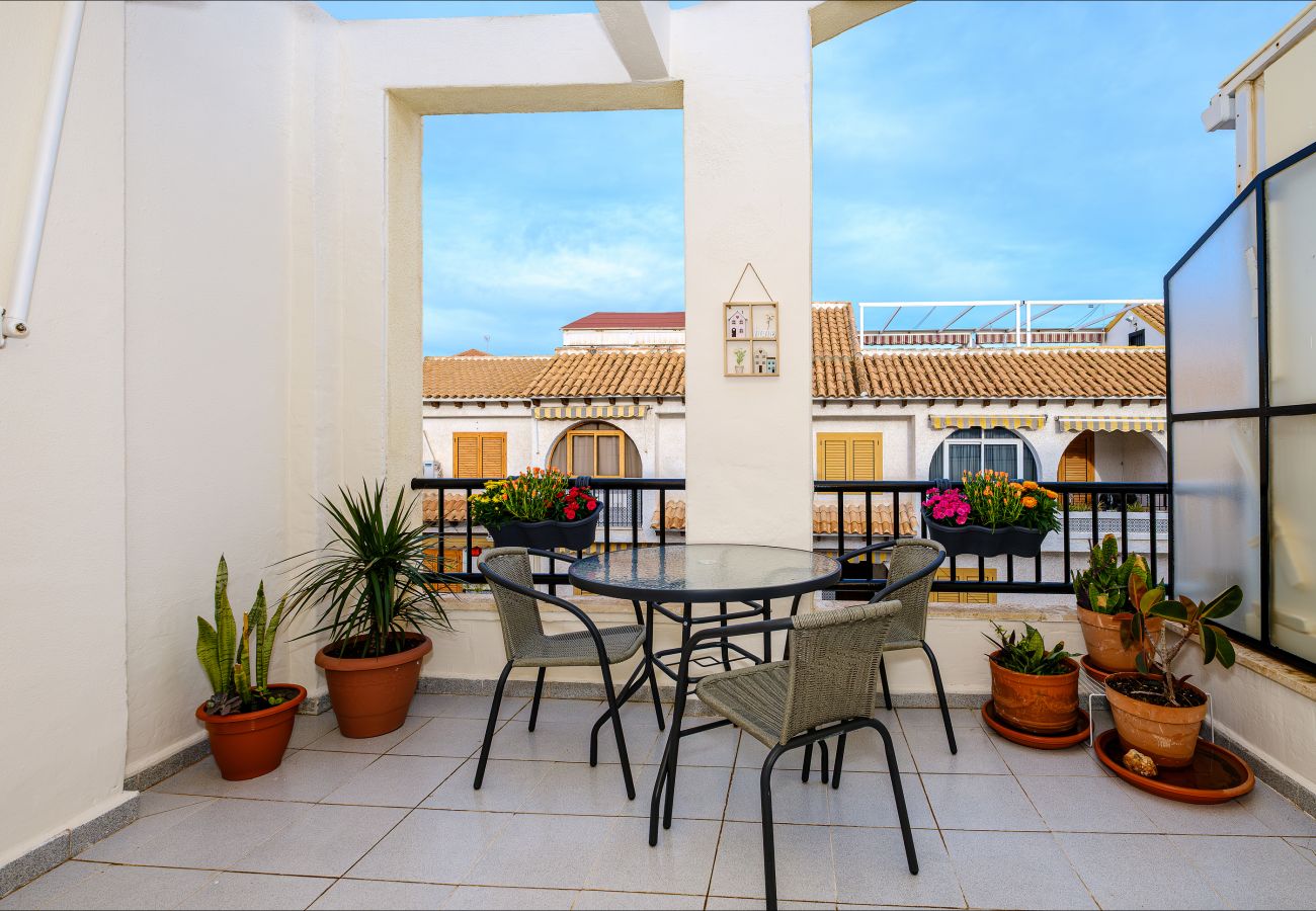 Apartment in Torrevieja - ID61