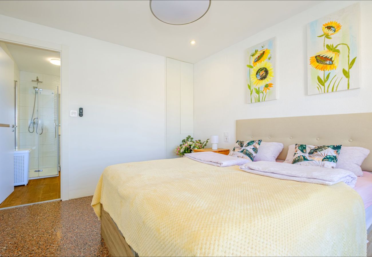 Apartment in Torrevieja - ID88