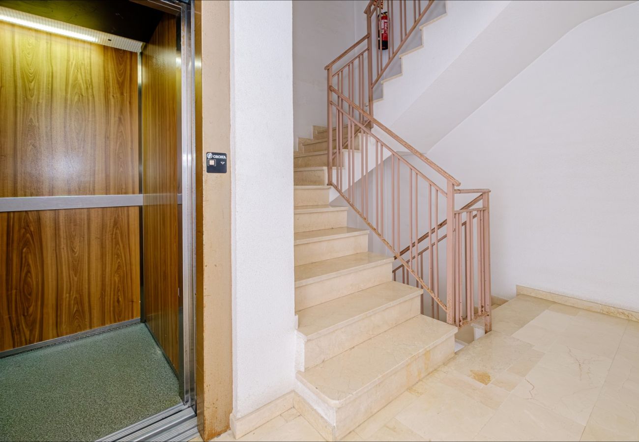 Apartment in Torrevieja - ID88