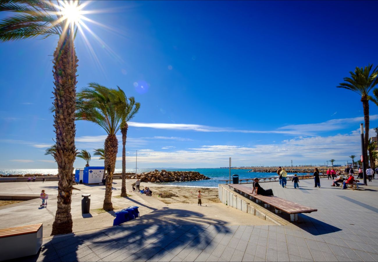 Apartment in Torrevieja - ID88