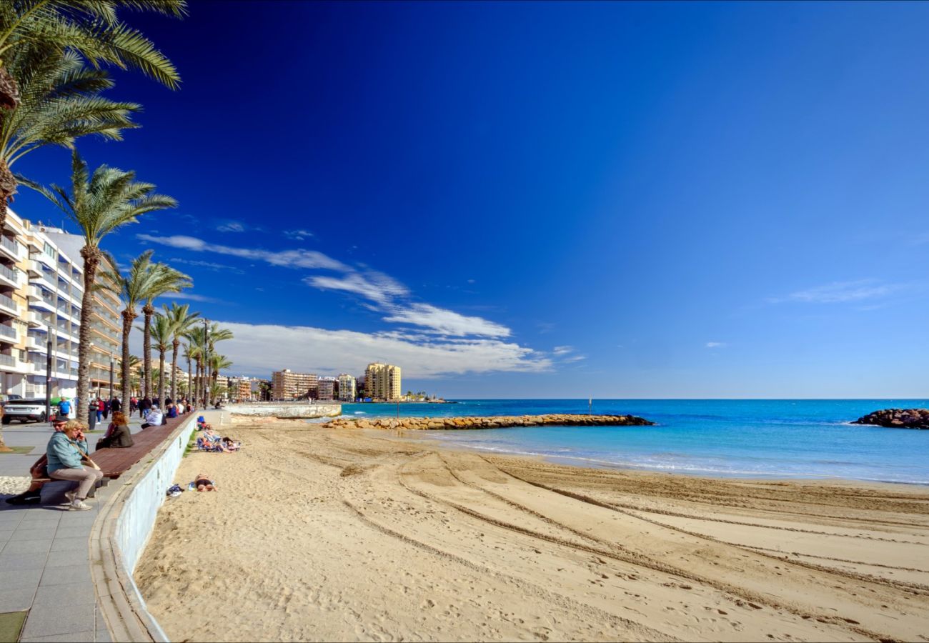 Apartment in Torrevieja - ID88