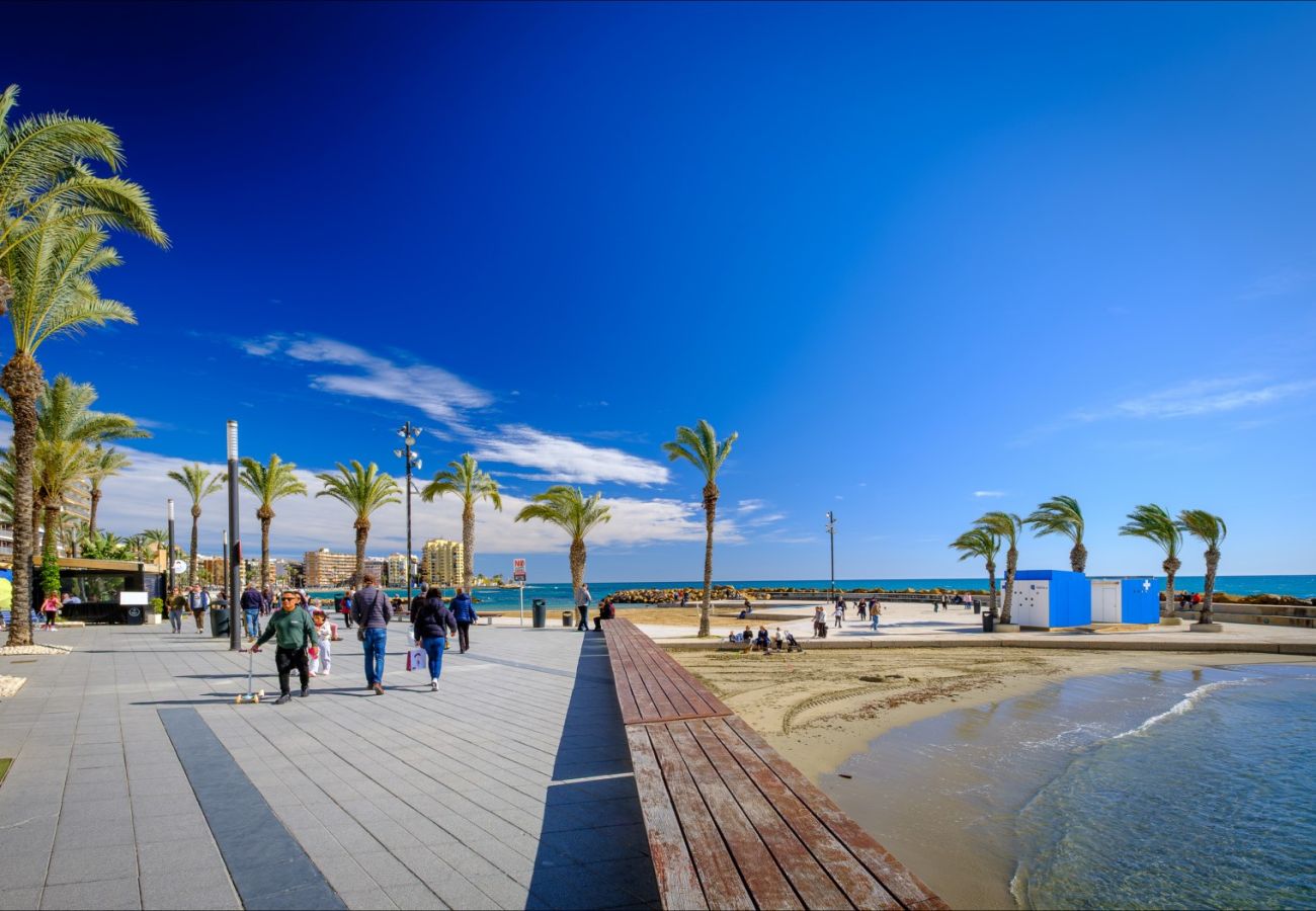 Apartment in Torrevieja - ID88