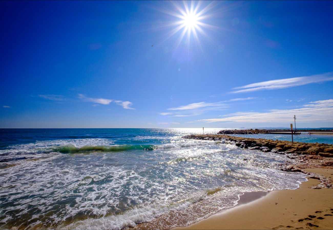 Apartment in Torrevieja - ID88