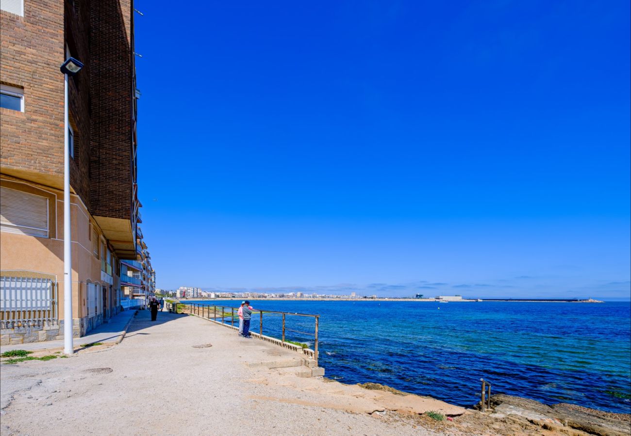 Apartment in Torrevieja - ID65
