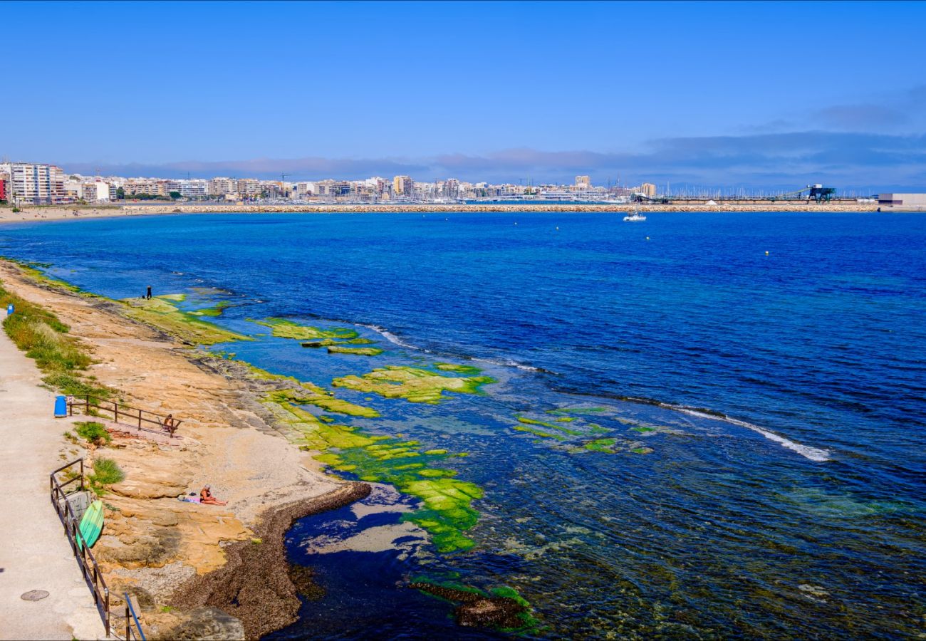 Apartment in Torrevieja - ID65
