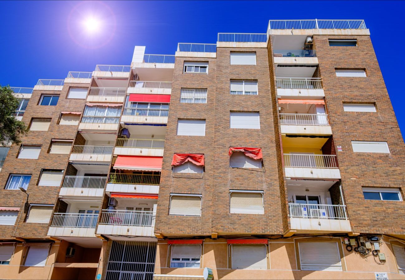 Apartment in Torrevieja - ID65
