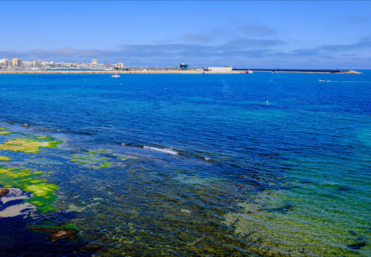 Apartment in Torrevieja - ID65