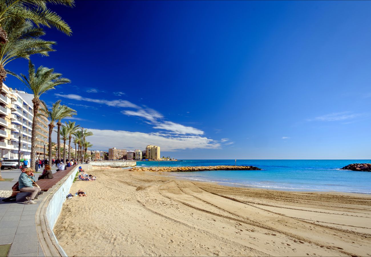 Apartment in Torrevieja - ID28