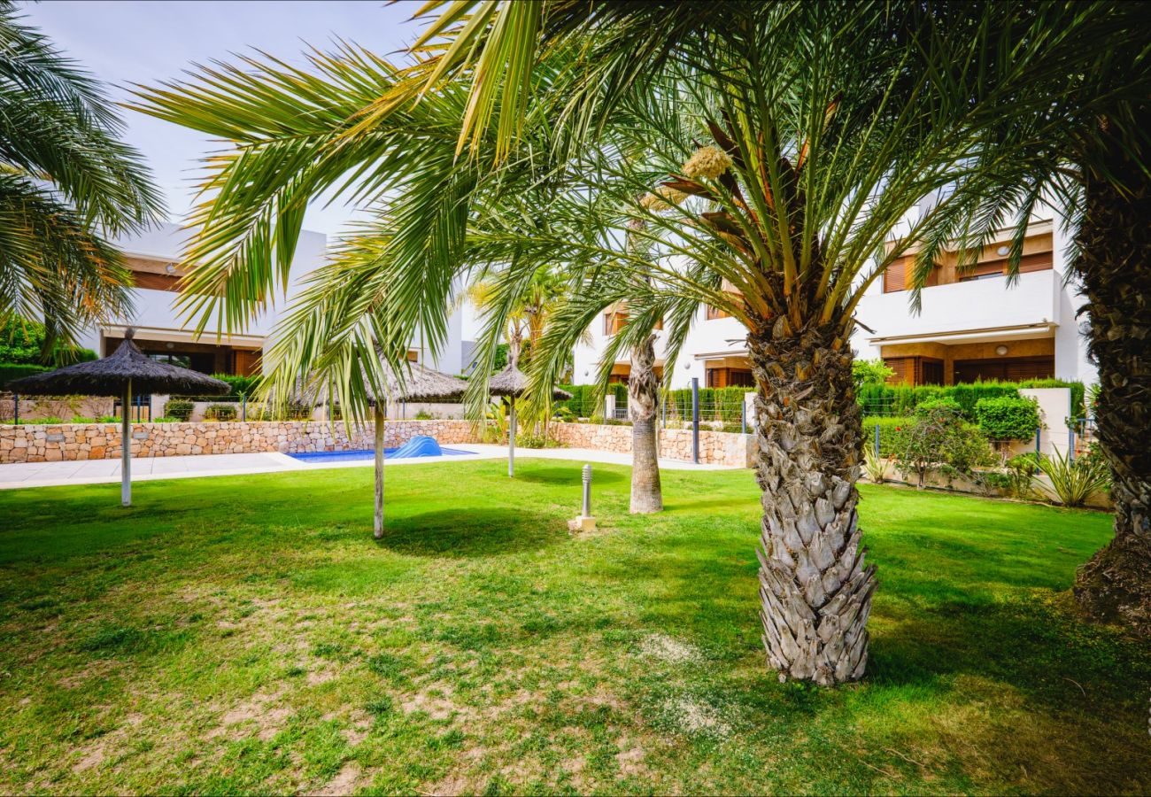 Bungalow in La Zenia - ID137