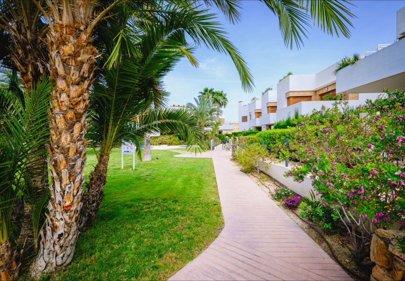 Bungalow in La Zenia - ID137