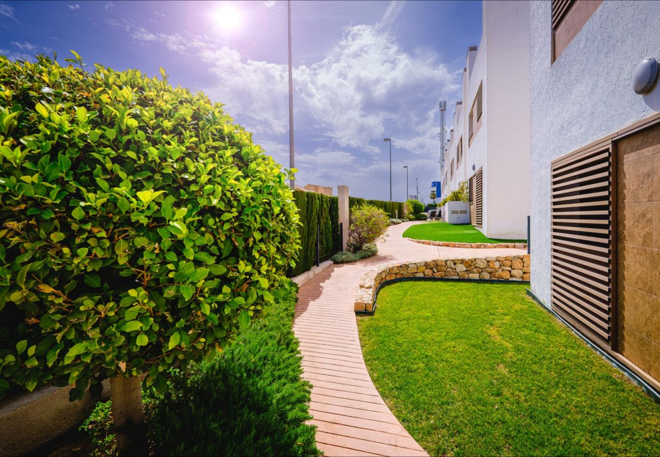 Bungalow in La Zenia - ID137