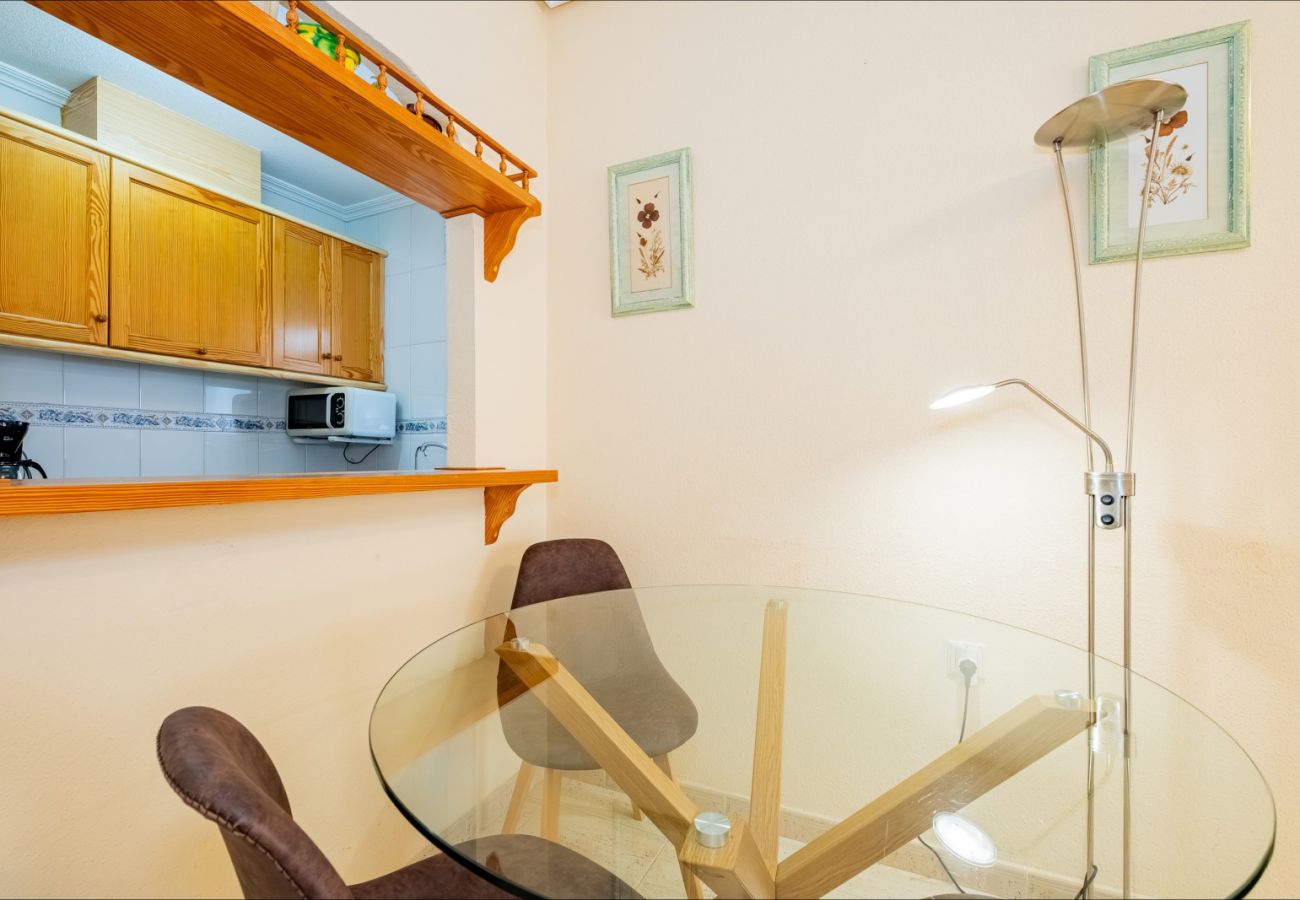 Apartment in Torrevieja - ID103