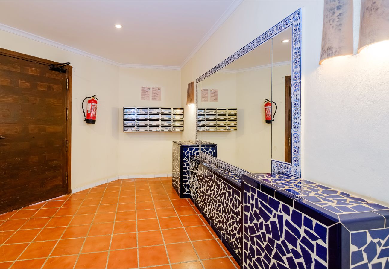 Apartment in Torrevieja - ID67