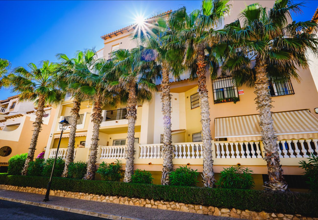 Apartment in Torrevieja - ID67