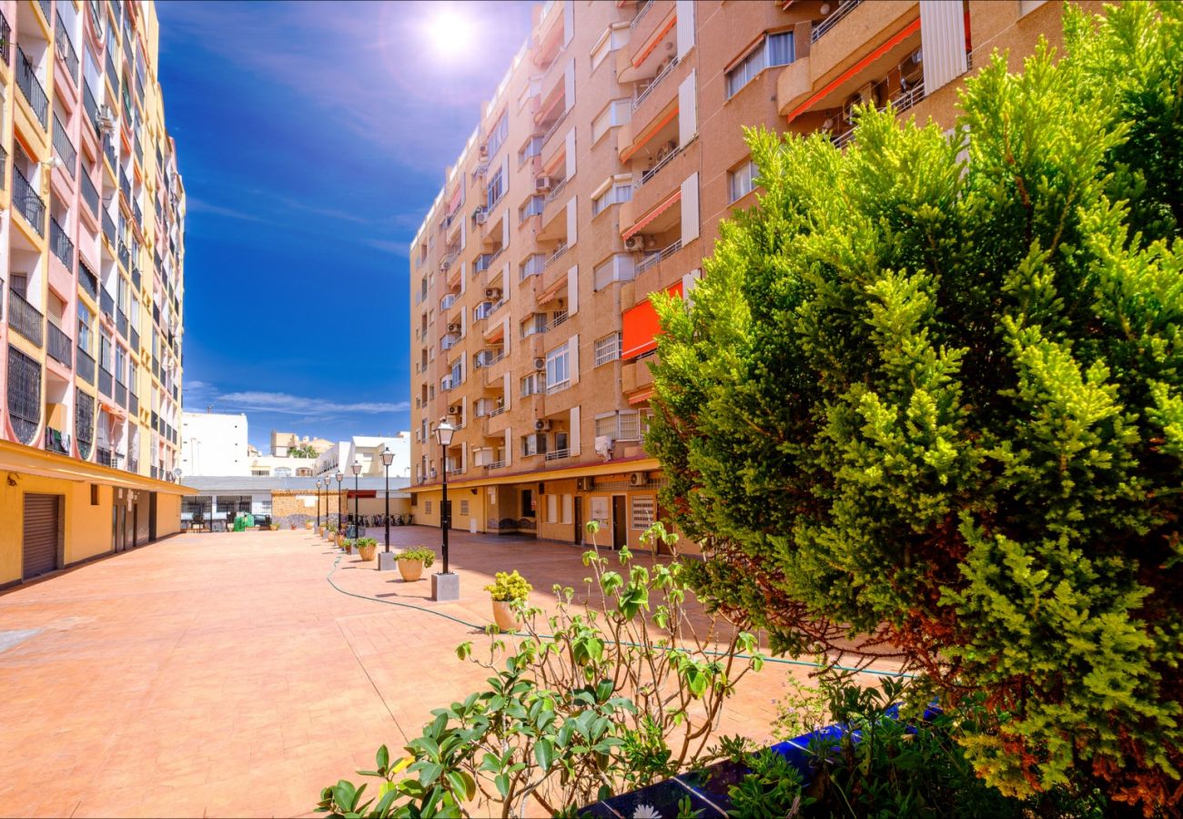 Apartment in Torrevieja - ID56