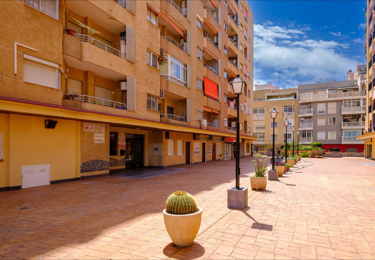 Apartment in Torrevieja - ID56