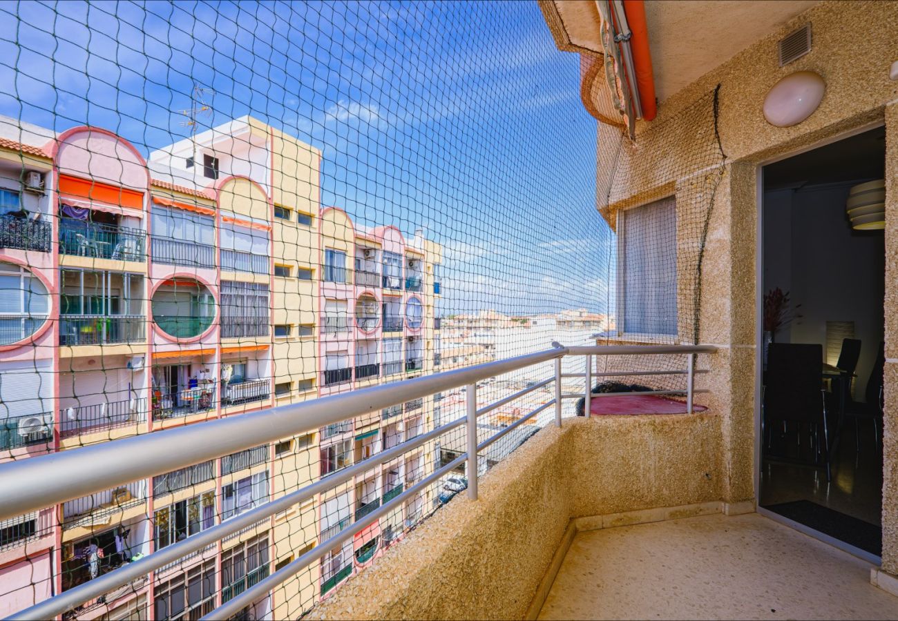 Apartment in Torrevieja - ID56