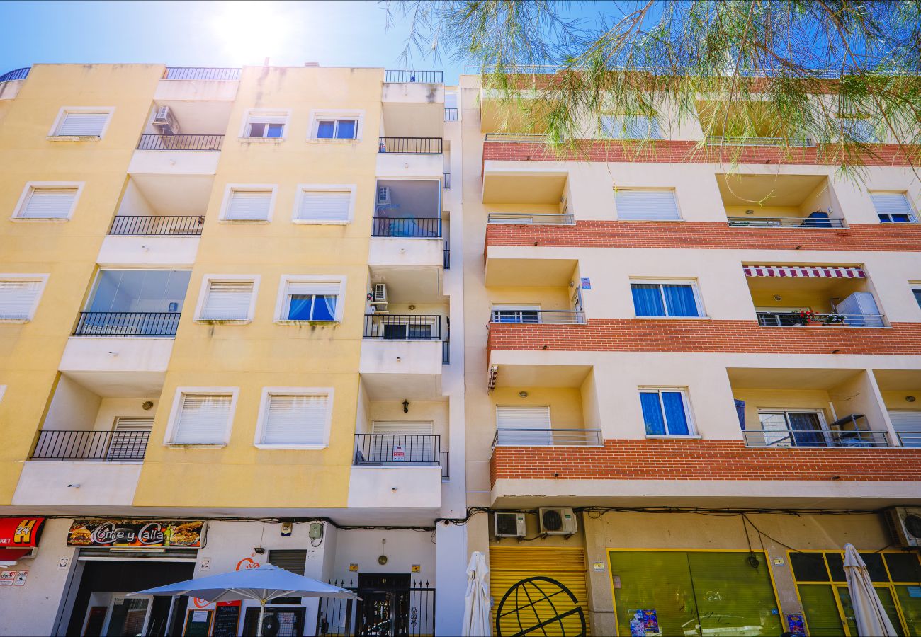 Apartment in Torrevieja - ID75
