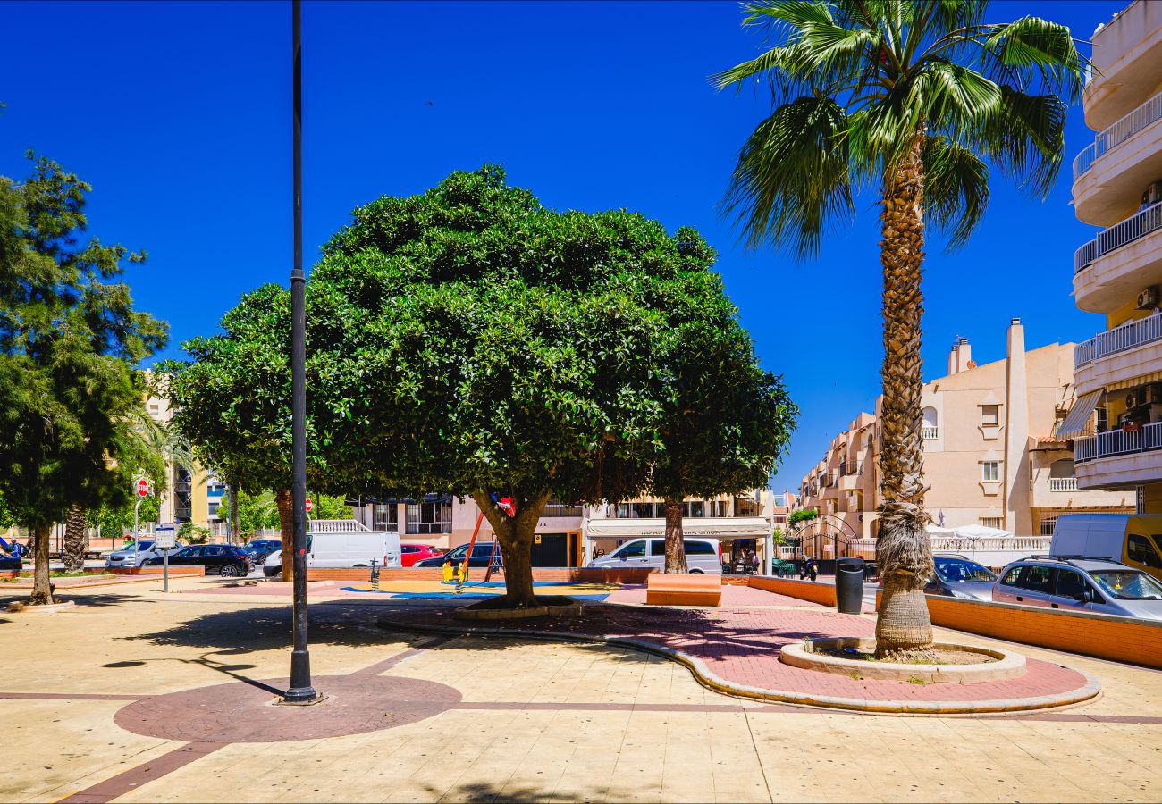 Apartment in Torrevieja - ID75