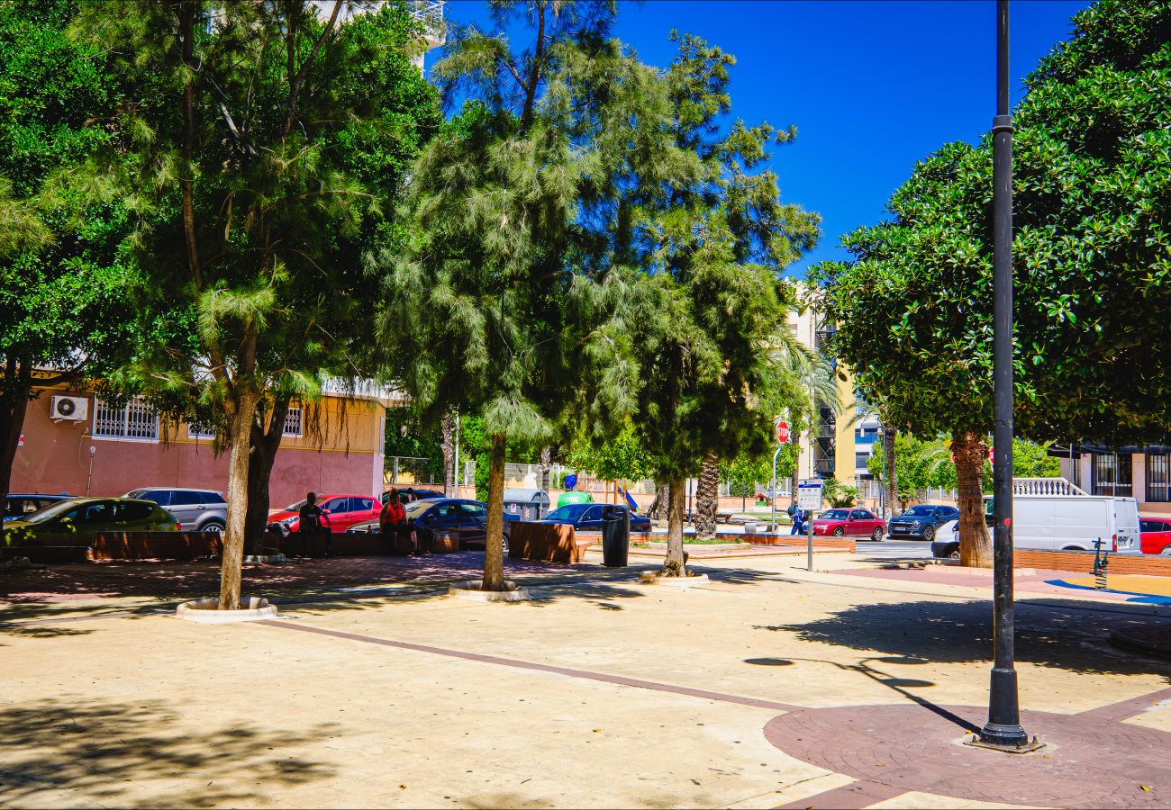 Apartment in Torrevieja - ID75
