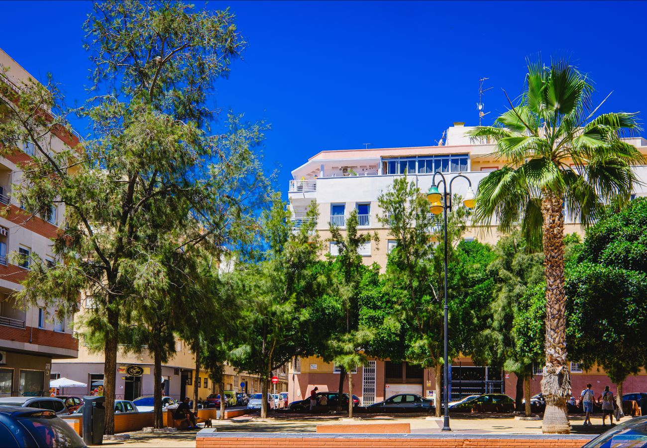 Apartment in Torrevieja - ID75