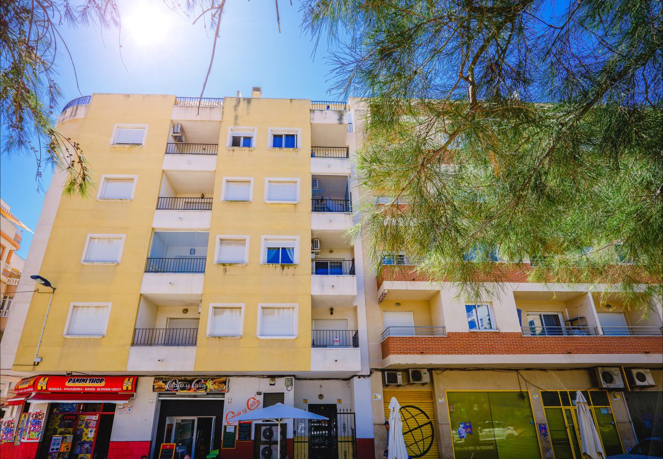 Apartment in Torrevieja - ID75