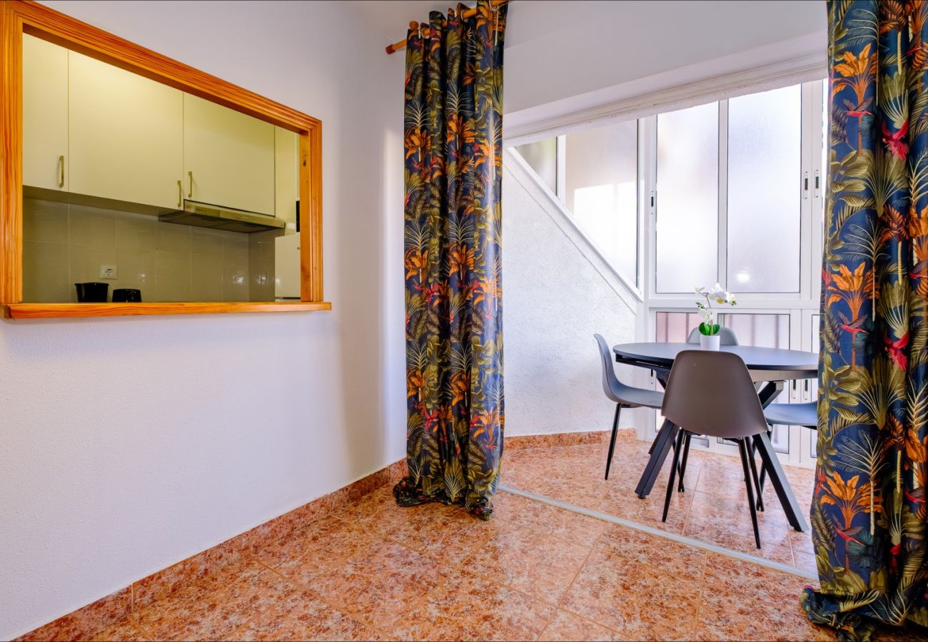 Apartment in Torrevieja - ID141