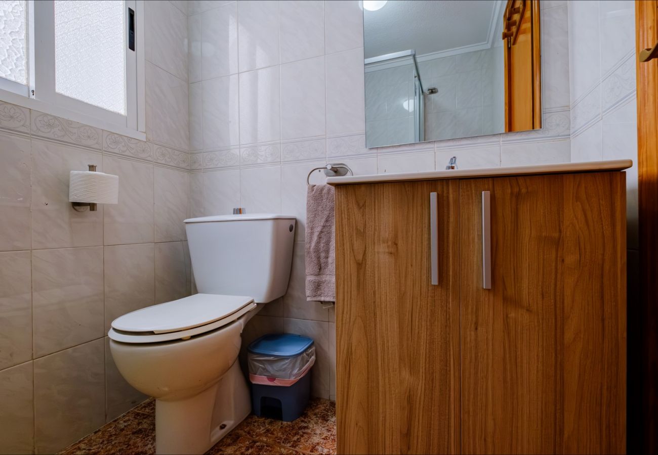 Apartment in Torrevieja - ID141