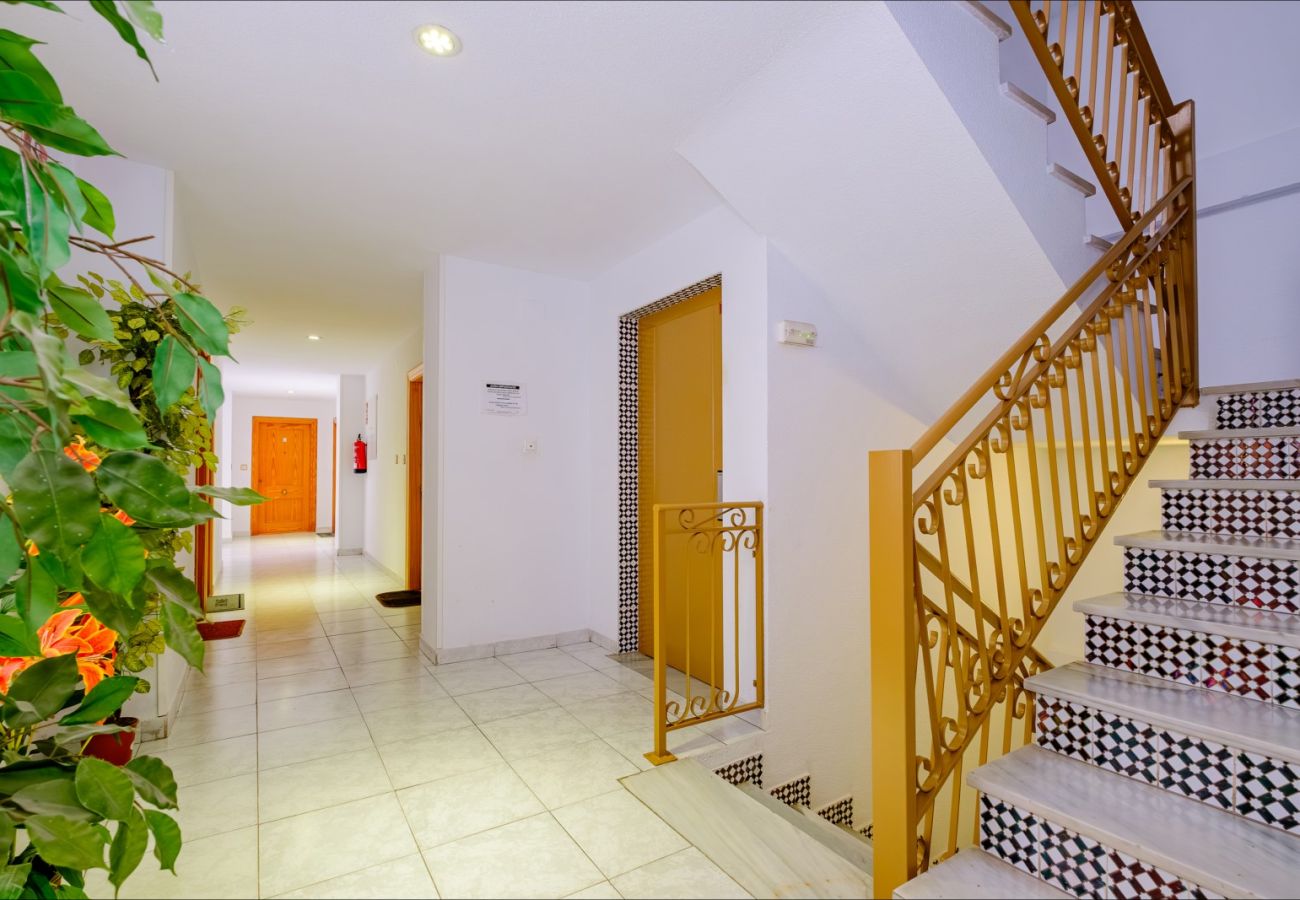 Apartment in Torrevieja - ID141