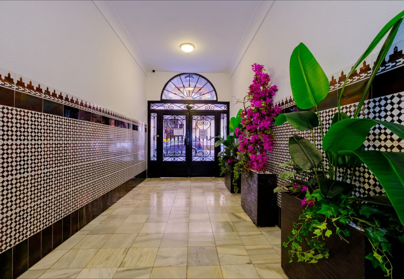 Apartment in Torrevieja - ID141