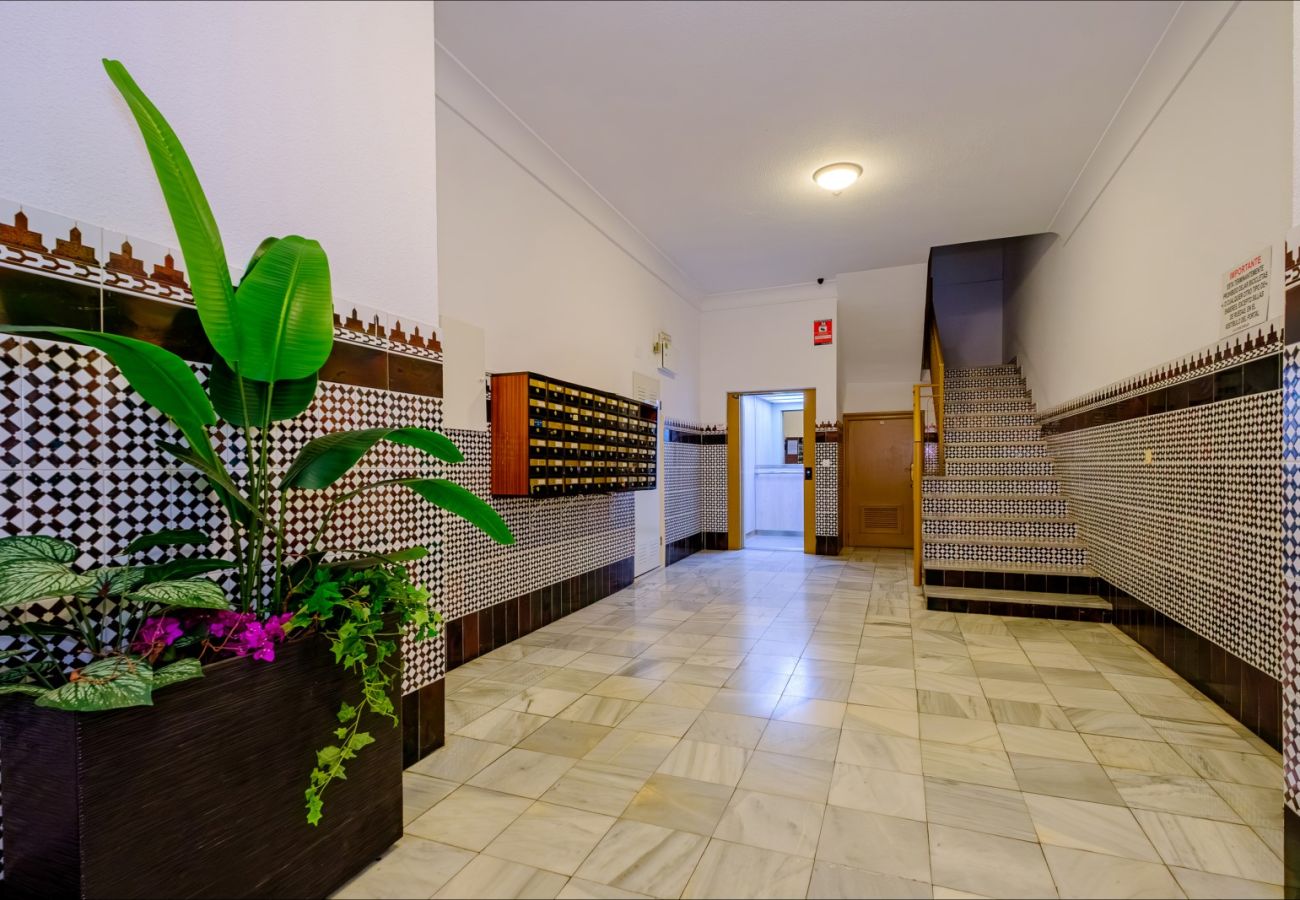 Apartment in Torrevieja - ID141