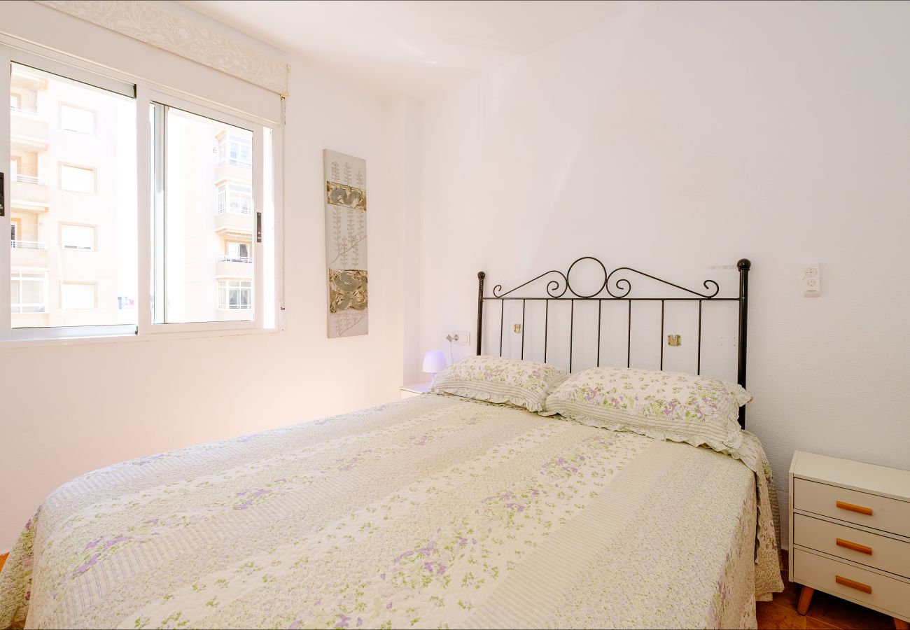 Apartment in Torrevieja - ID164