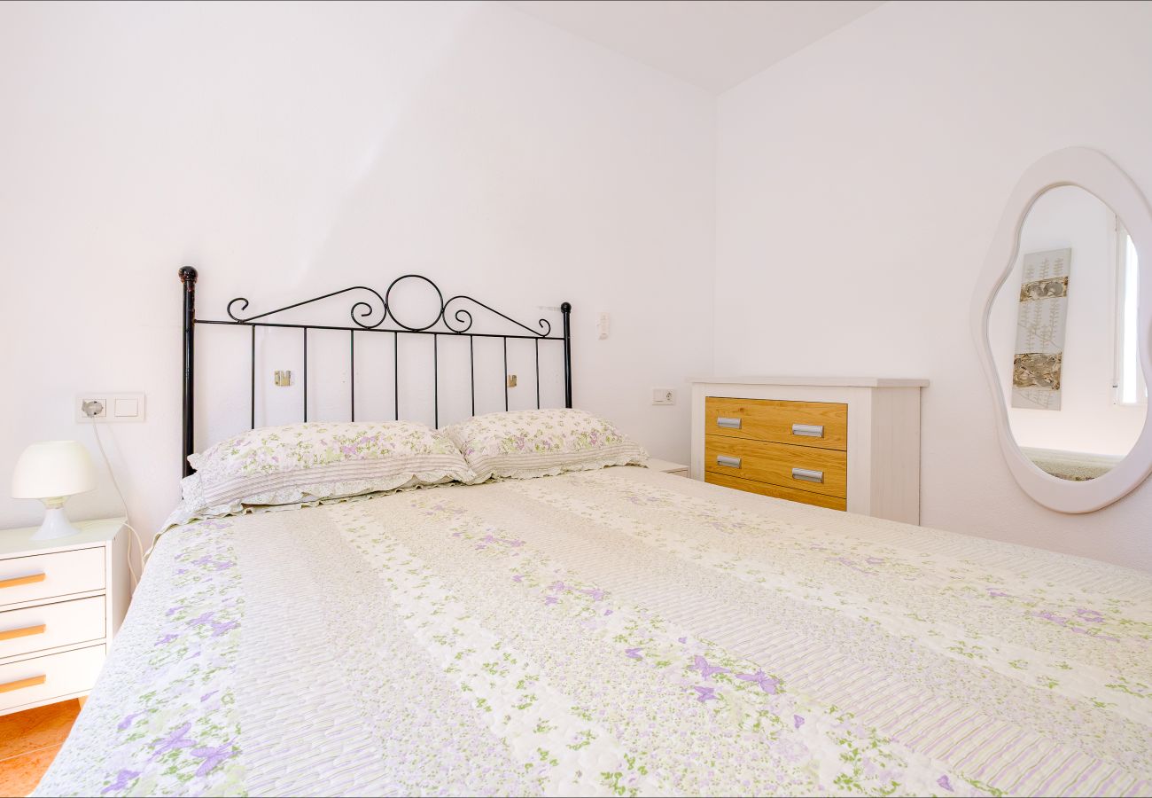 Apartment in Torrevieja - ID164