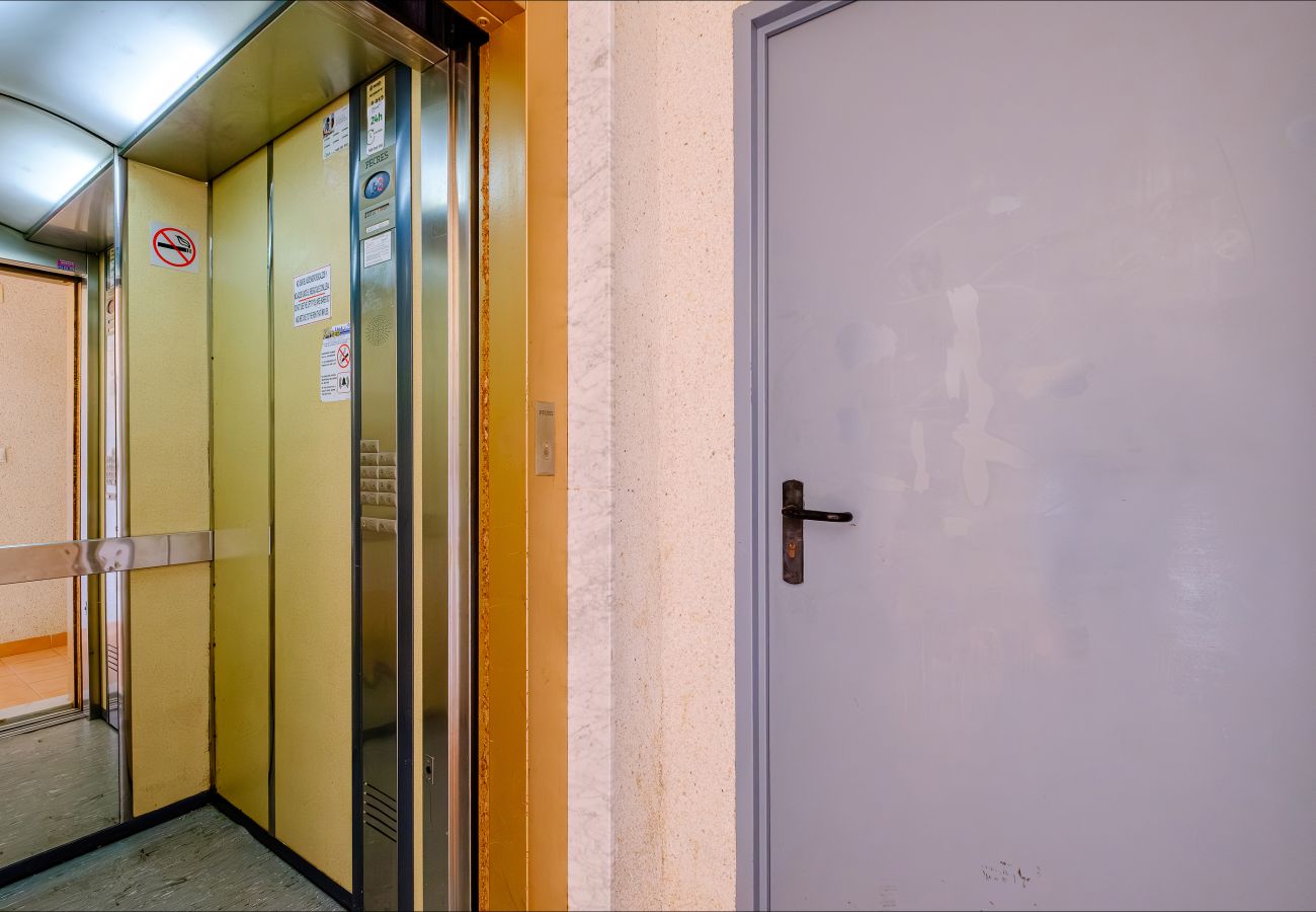 Apartment in Torrevieja - ID164