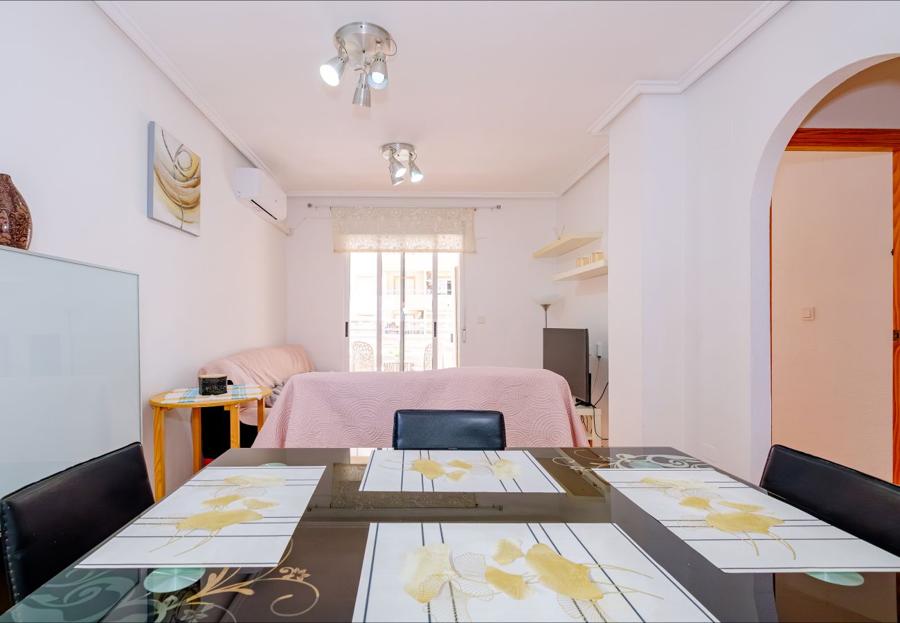 Apartment in Torrevieja - ID164