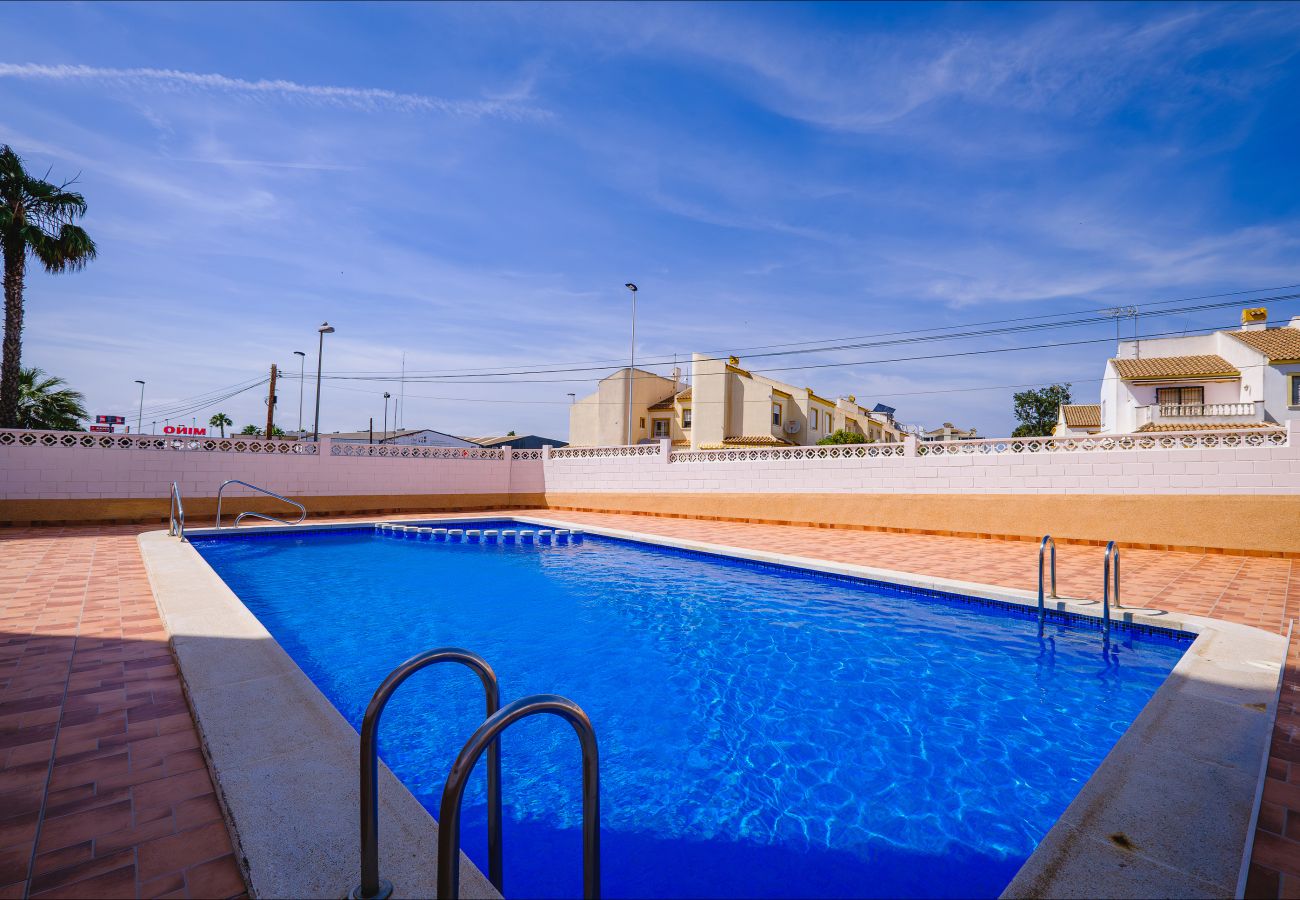 Apartment in Torrevieja - ID164