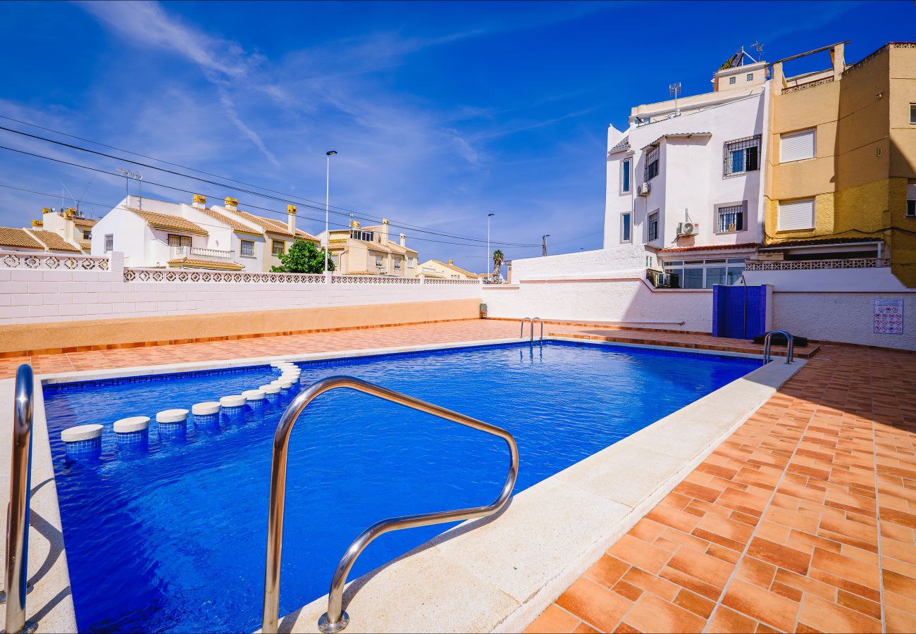 Apartment in Torrevieja - ID164