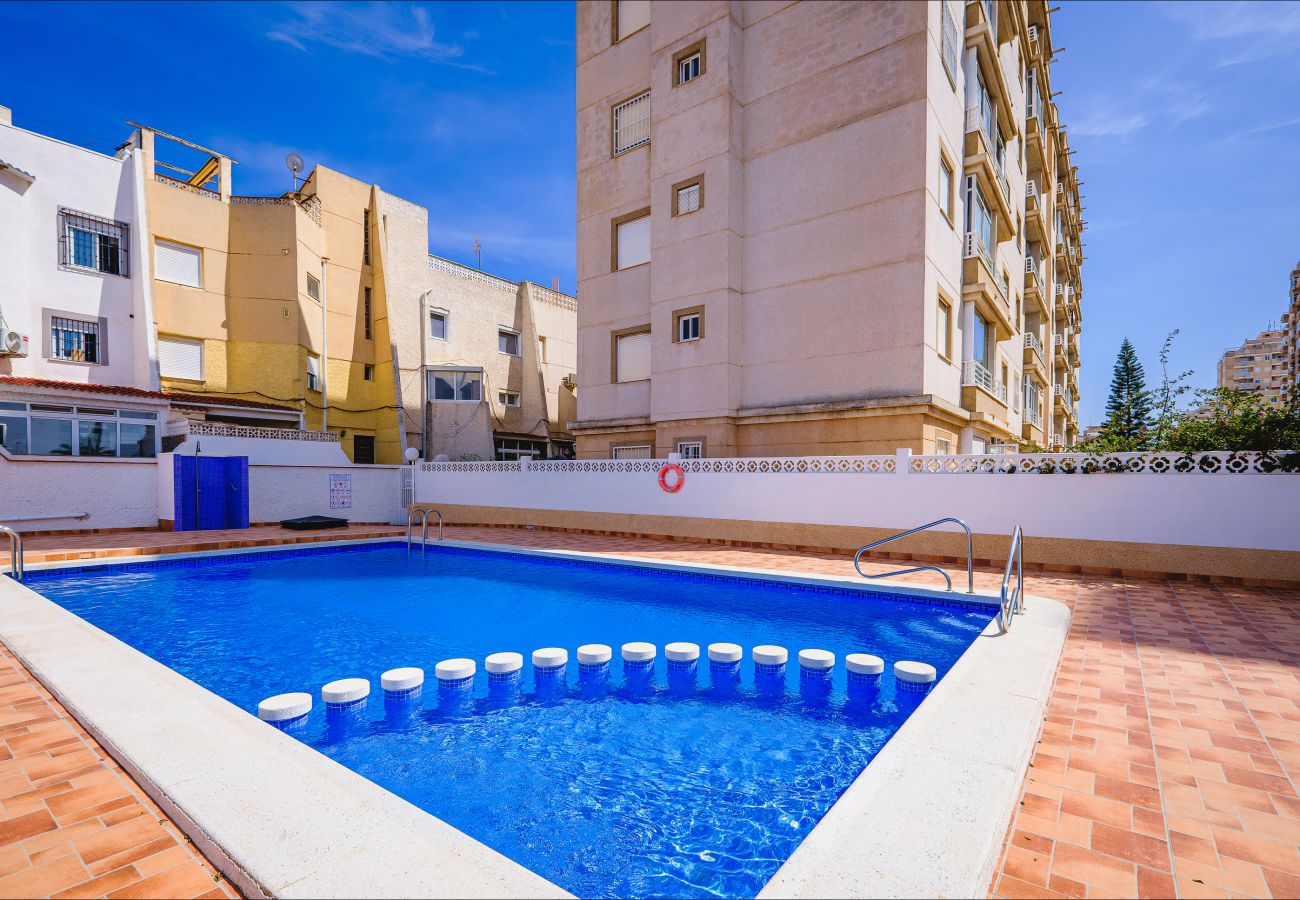 Apartment in Torrevieja - ID164