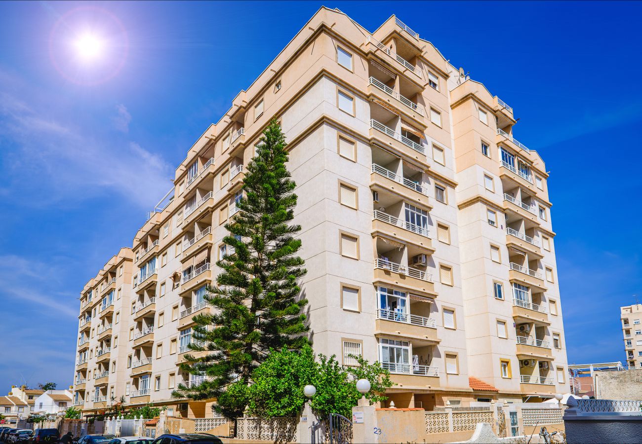 Apartment in Torrevieja - ID164