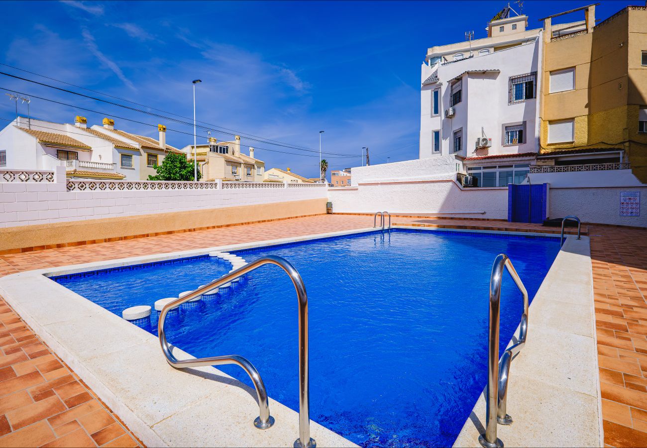 Apartment in Torrevieja - ID164
